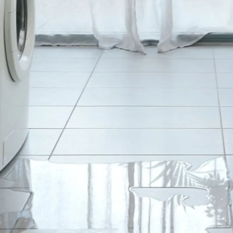 Appliance Leak Cleanup in Oceanside, CA
